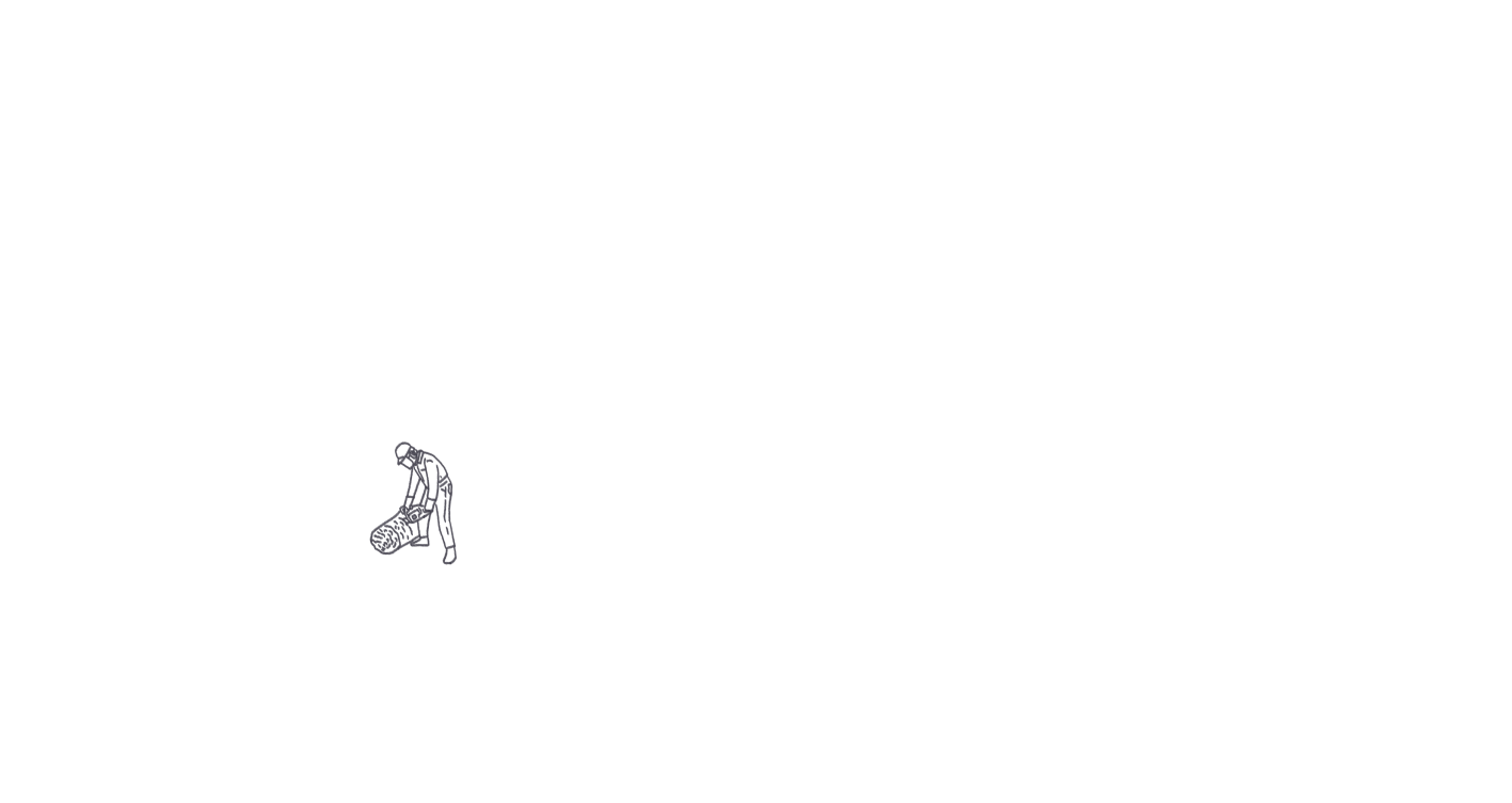 mission